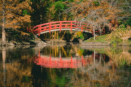 Orange and White Bridge thumbnail
