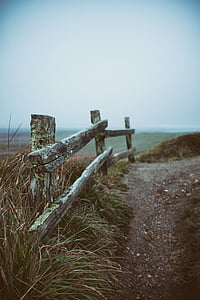green grass during daytime photo thumbnail
