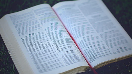 Holy Bible thumbnail