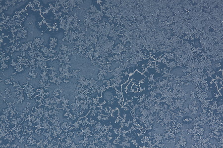 gray floral wallpaper thumbnail