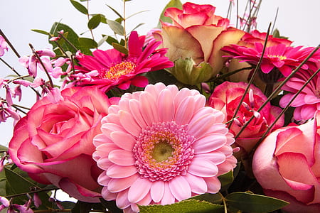 pink petal flower arrangement thumbnail