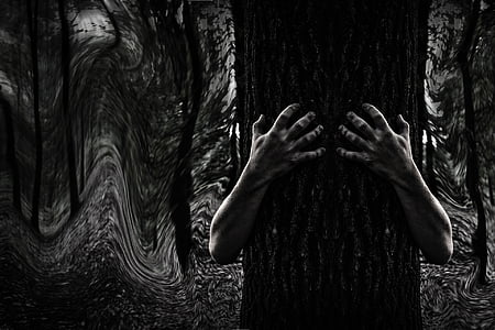 grayscale photo of person's hand hugging tree trunk thumbnail