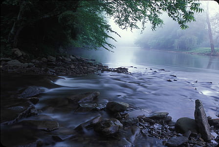 blue body of water in the middle of the forest thumbnail