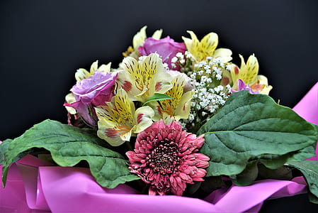 yellow and purple petaled flowers close-up photo thumbnail