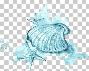 Seashell Watercolor painting Illustration, Blue watercolor shells and starfish, green starfishes and seashell illustration PNG clipart