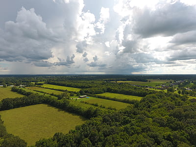 green trees and grass field under white clouds during daytime thumbnail
