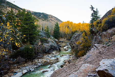 mountains neat trees thumbnail