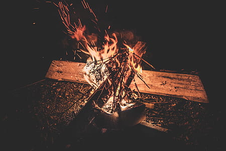 Photo Of Bonfire thumbnail