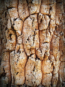 Brown Surface thumbnail