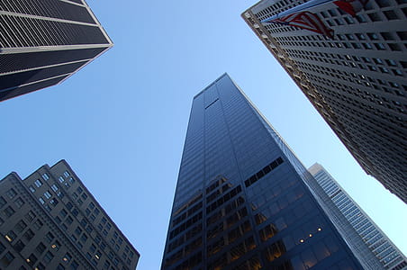city, skyline, buildings, skyscrapers thumbnail