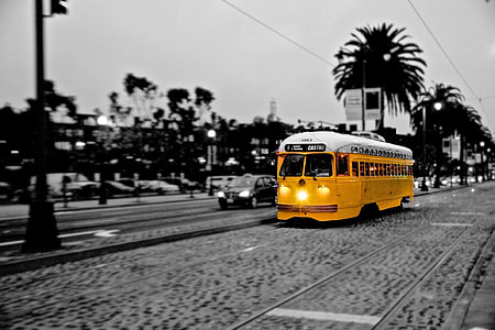 yellow and white bus passing on road thumbnail