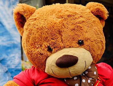 brown teddy bear wearing red top thumbnail