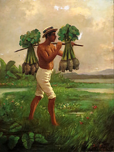 Taro Plant gathering in Hawaii thumbnail