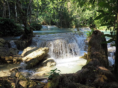 waterfalls in the middle of forest thumbnail