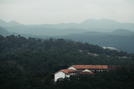 bird's eye view photo of white and brown building near tree thumbnail