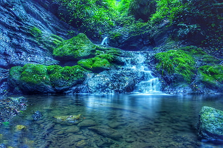 gray rock with moss during daytime thumbnail