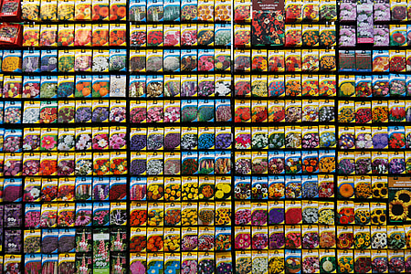 assorted multicolored flowers thumbnail