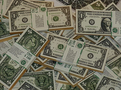 1 U.S. dollar bundle lot thumbnail