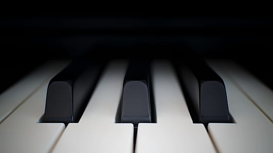 closeup photo of black and white keyboard thumbnail