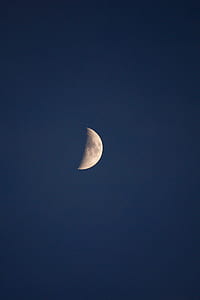 close up photo of half moon thumbnail