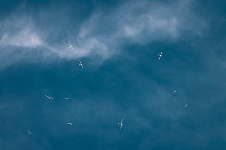 flight of white birds thumbnail