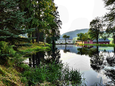 houses near the lake and trees during day thumbnail