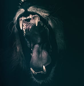 brown and black lion art thumbnail