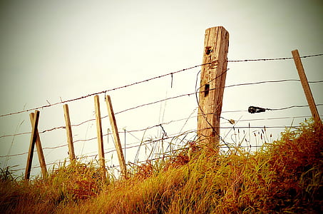 brown wooden barbed wire fence on brown grassland during daytime thumbnail
