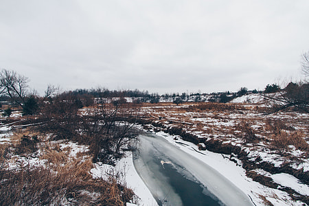 body of water beside trees and brown plants during daytime thumbnail