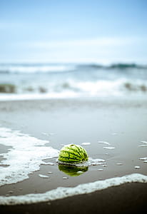 Melon thumbnail
