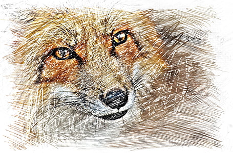 fox drawing thumbnail