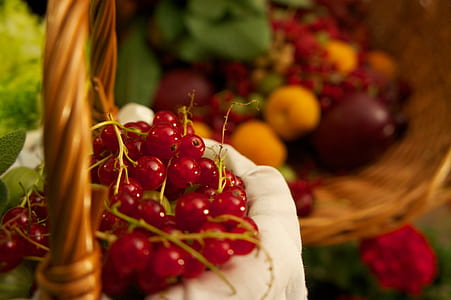 round red fruits thumbnail
