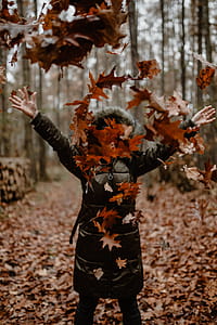 Autumn walk to the forest in foggy weather thumbnail