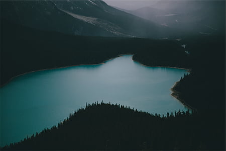 silhouette of fir trees by calm body of water thumbnail