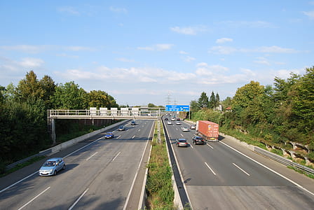photography of vehicles passing by on trees thumbnail