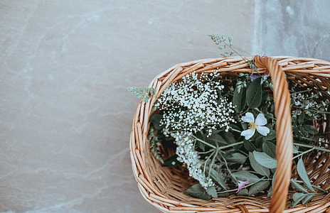 Basket of hedgerow finds thumbnail