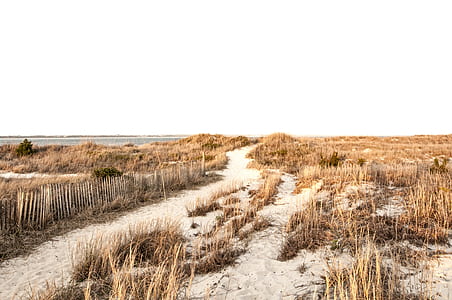 photo of pathway between ground covered with grass thumbnail