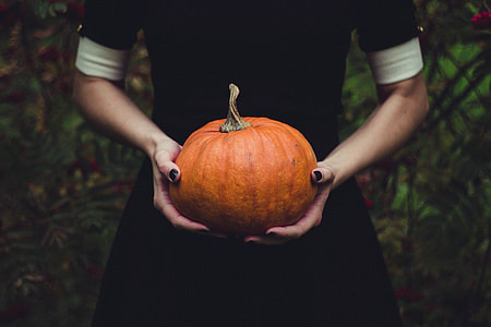 Pumpkin thumbnail