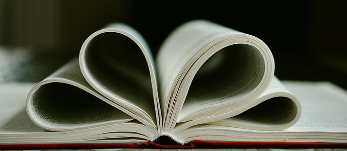 focus photography of opened book thumbnail