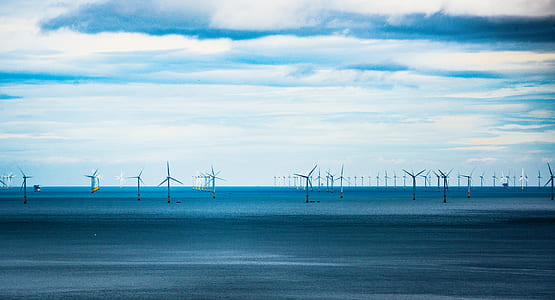 photo of wind turbines near body of water thumbnail