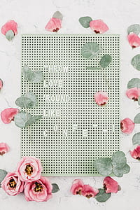 pink flowers on white surface thumbnail