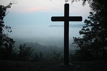 brown wooden cross between trees thumbnail