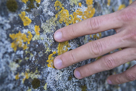 Person Touching Stone thumbnail