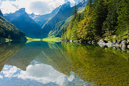 green trees near body of water thumbnail