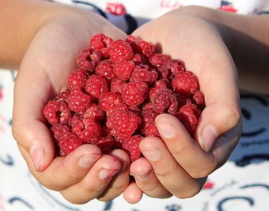 red berries thumbnail