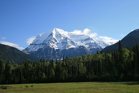 trees near snowy mountain under blue sky thumbnail