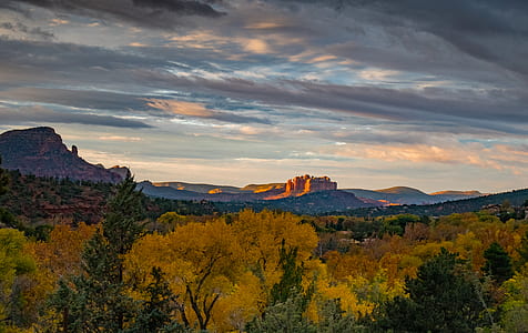 Landscape Photography of Trees Under Nimbus Clouds thumbnail