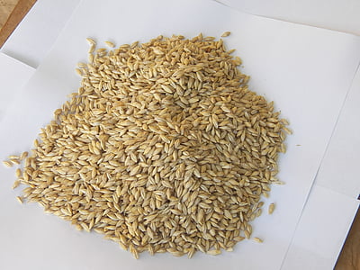 grain lot on paper thumbnail