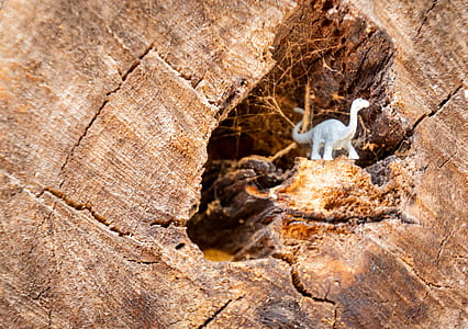 White Dinosaur Figurine on Wood Log thumbnail