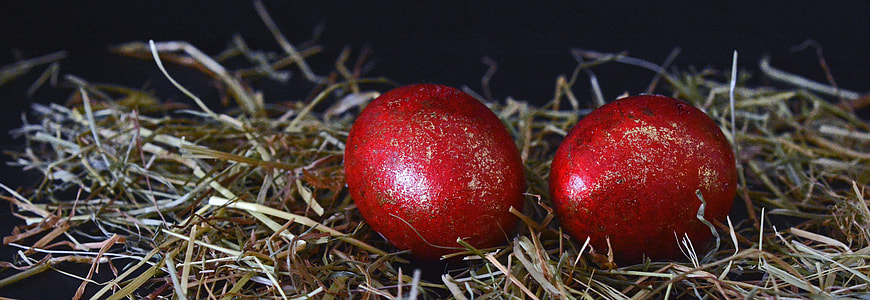 two red eggs on nest in panorama and rule of thirds photography thumbnail